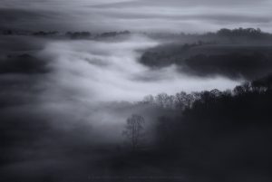 Thick morning mist covering East Sussex, by Mark Price Photography