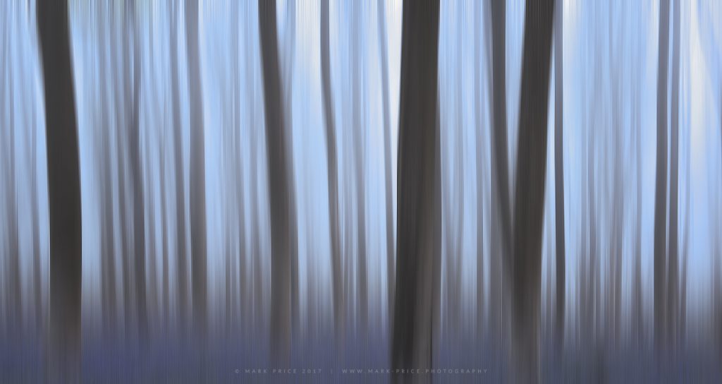 Intentional Camera Movement creates vertical patterns in a bluebell forest
