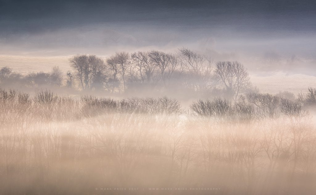 Early morning fog swirling around the Dorset Countryside