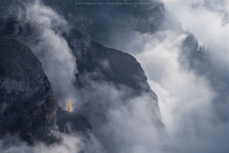 A cloud inversion wraps the landscape above Auronzo Di Cadore, Italy, while a single autumnal tree resist the cover of the cloud