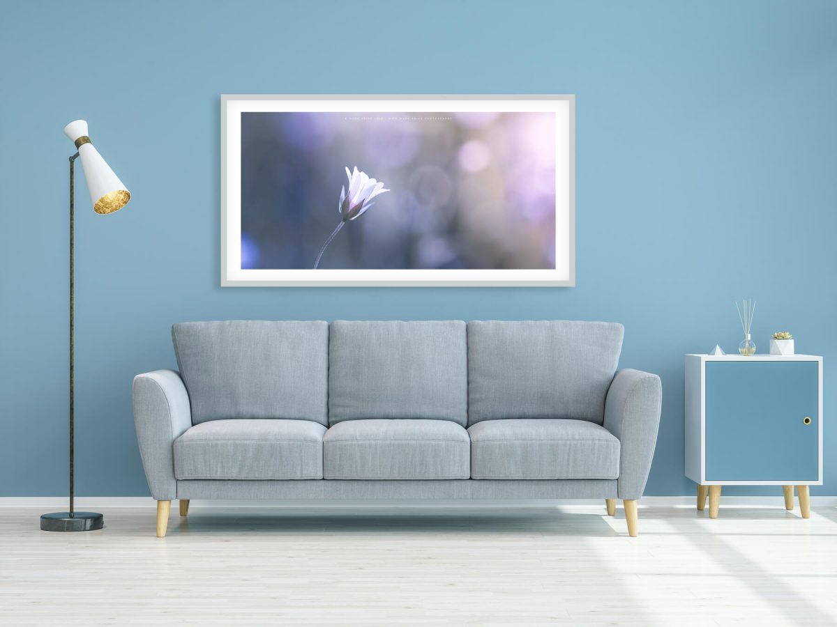 modern living room with Art print by Mark Price Photography