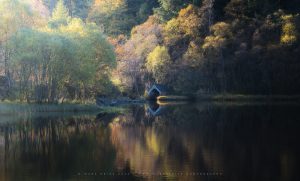 Golden colours in a quiet Trossachs loch, October 2020, Scotland