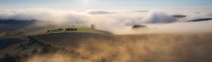 The rolling fields of the South Downs National Park with rolling fog to accompany