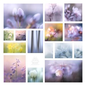 Various macro and ICM techniques combined to make a collage piece of macro landscape art