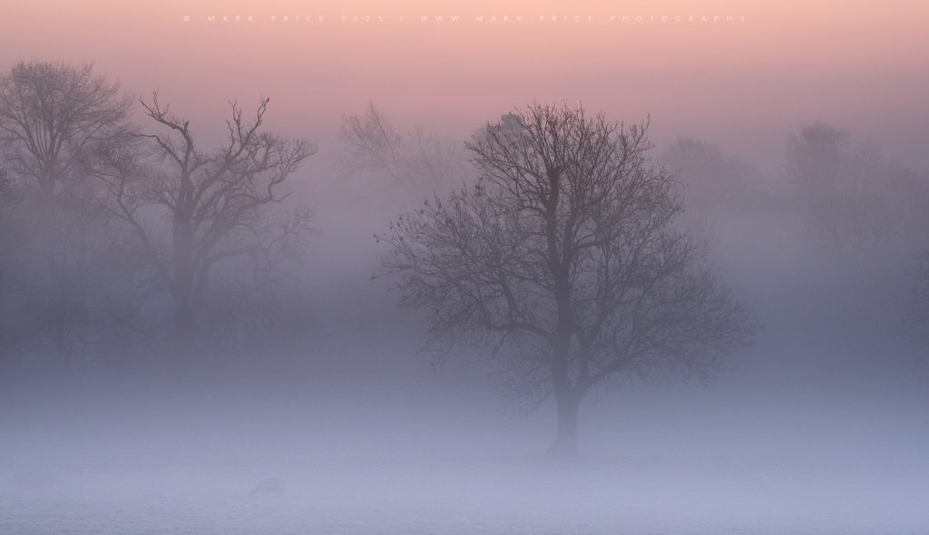 Thick morning mist creating an ethereal atmosphere in the South Downs national park, Sussex