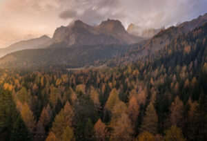 Above a Larch forest in Northern Italy
