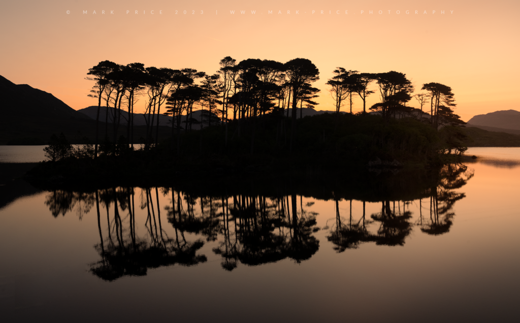 Beautiful pine trees silhouetted in a still Irish loch - Spring 2023