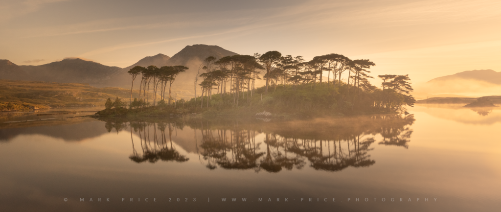 A pine island of trees reflected in a tranquil loch surrounded by small mountains, and lots of sunrise mist - Ireland 2023