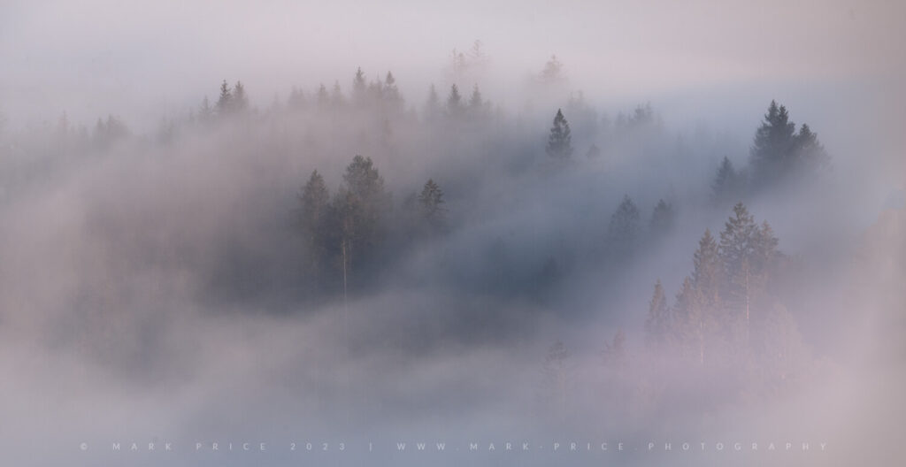 The mountainous forests of Slovenia wrapped in Autumnal fog.. by Mark Price, UK Landscape Photographer
