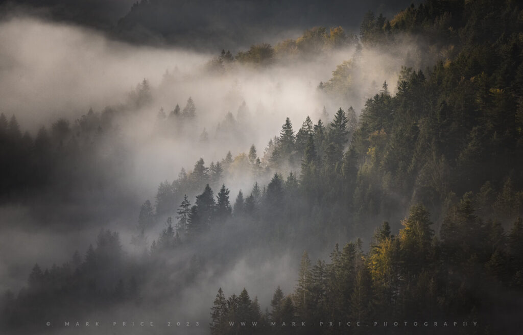 Ethereal atmosphere in the mountain forests of Slovenia