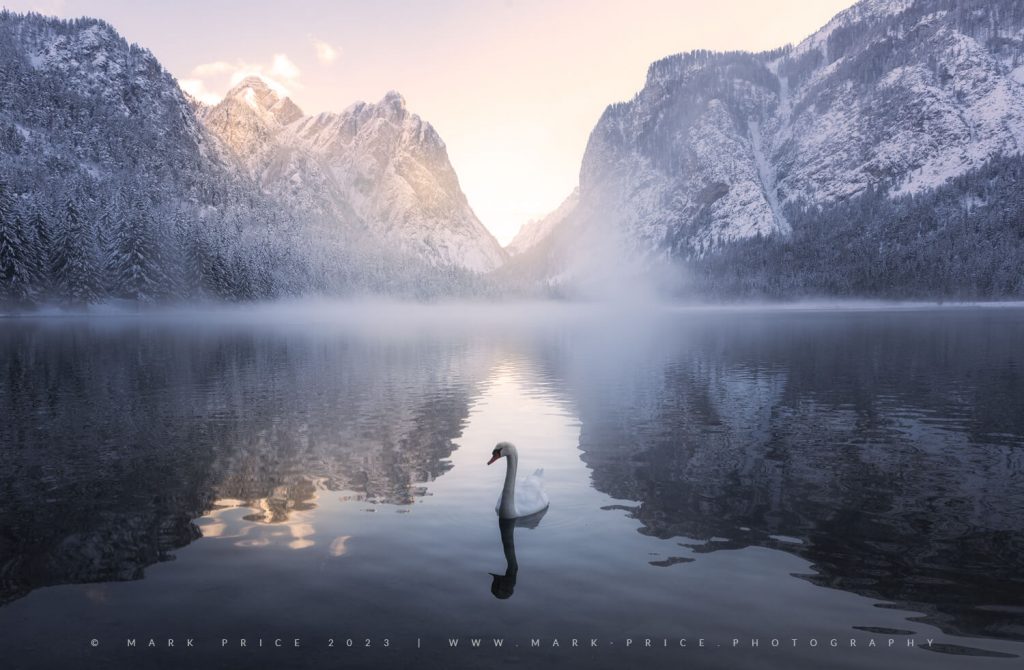 A serene moment as a swan graces an alpine lake during a winter sunset - the Alps 2024