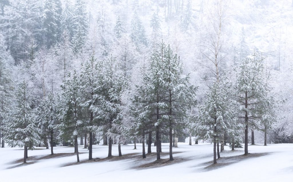 Heavy winter snowfall overtakes the Slovenian landscape - Winter 2024 - Mark Price Landscape Photography
