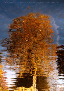 Autumnal reflection in the Lake District - Autumn 2025