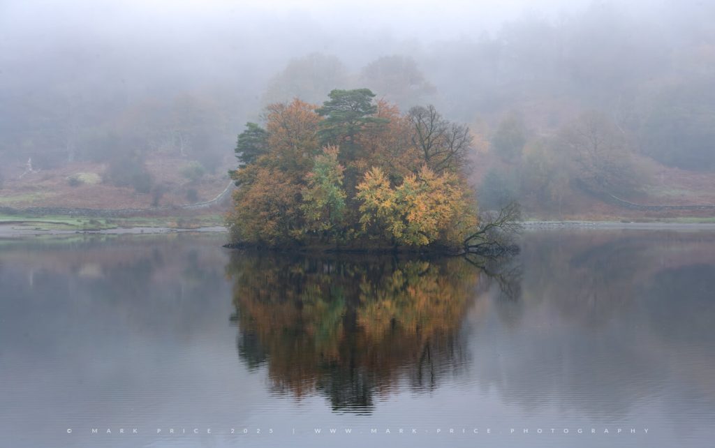 A spectacular island of colour in heavy fog - Autumn 2025