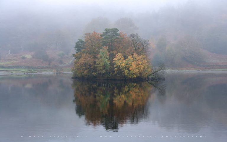 A spectacular island of colour in heavy fog - Autumn 2025