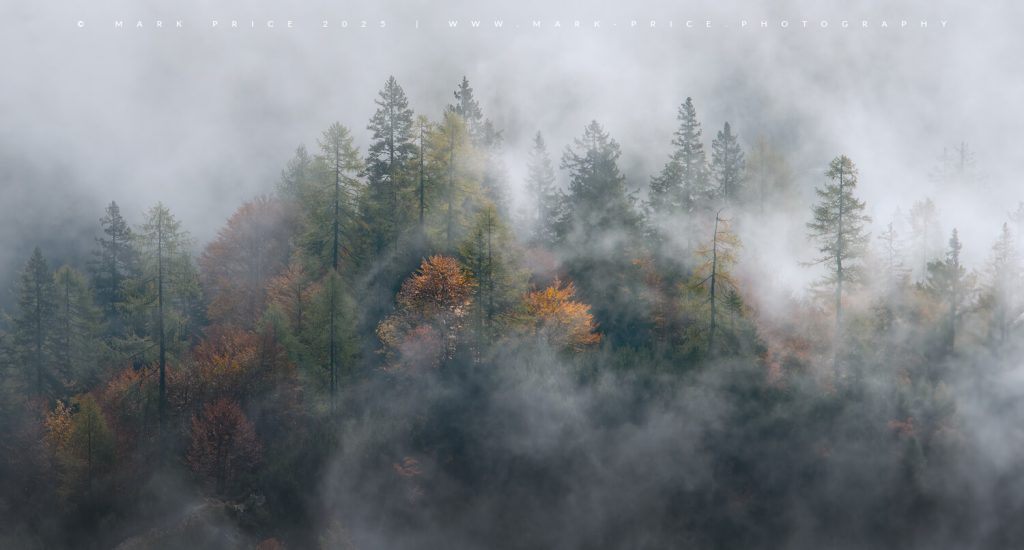 Light and the change of seasons - a beautiful combination..