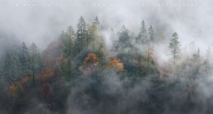 Light and the change of seasons - a beautiful combination..