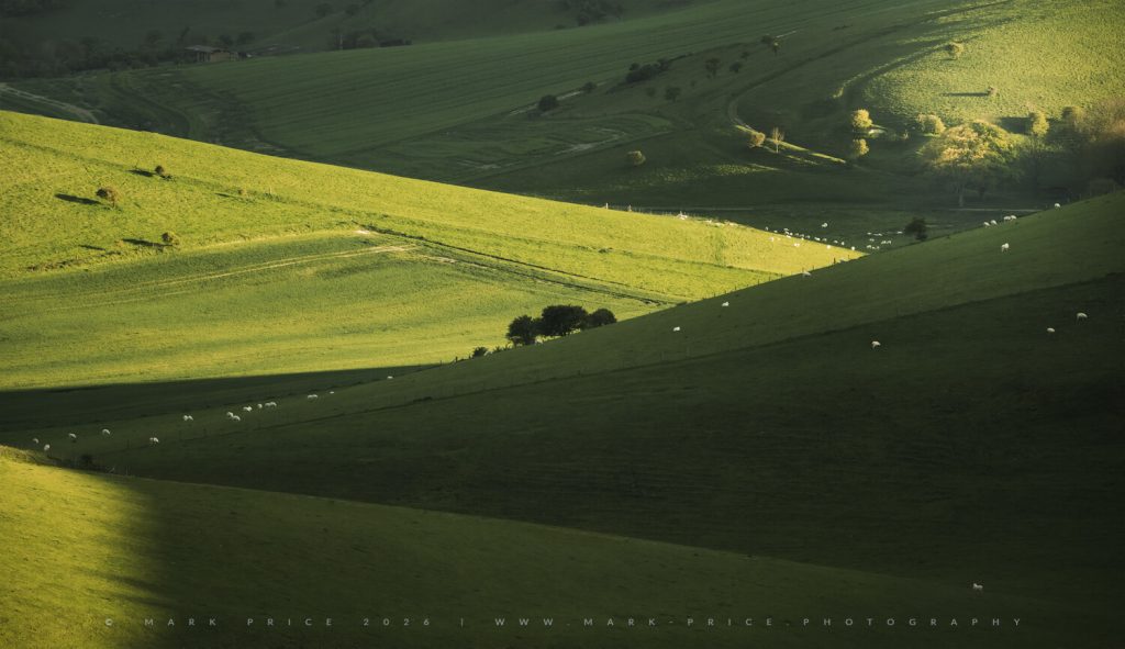 Layers of lush green, spring infused countryside in the South Downs National Park