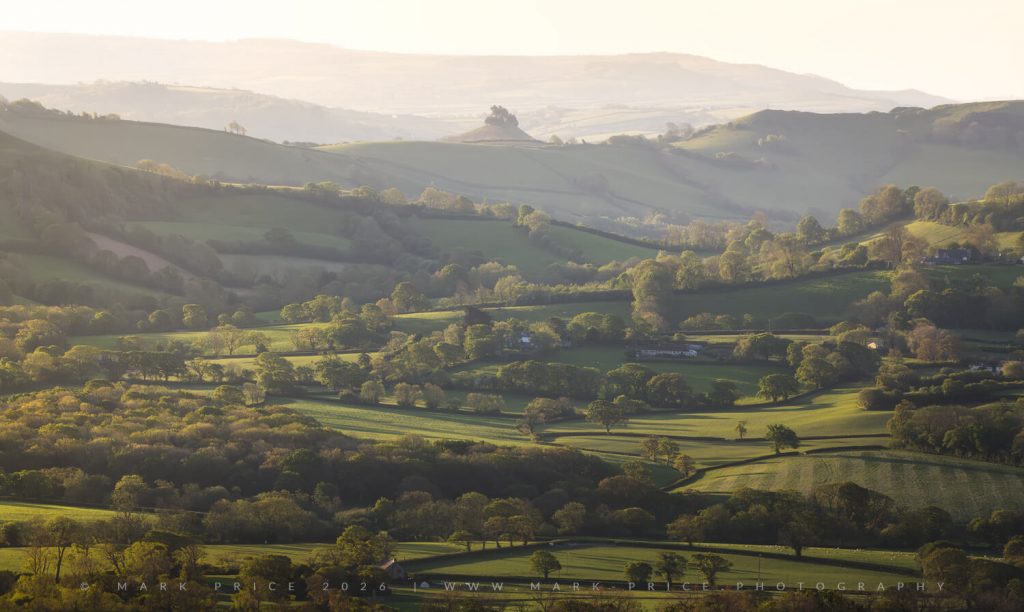 The fresh, endless greens of Spring 2026 bathed in morning light..