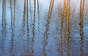 The timeless flow of water.... hypnotic patterns of form and light - Mark Price Photography 2026