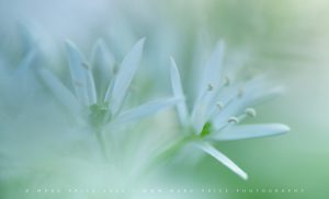 The smaller details of Spring - 2026