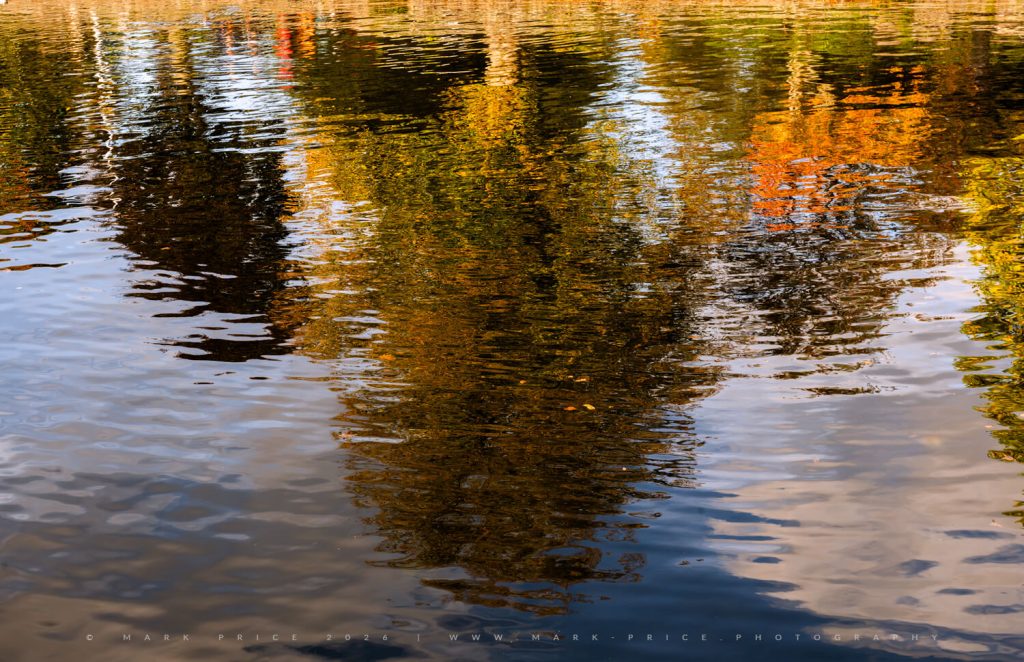 Autumn reflections - the colours of the season... Lake District 2026
