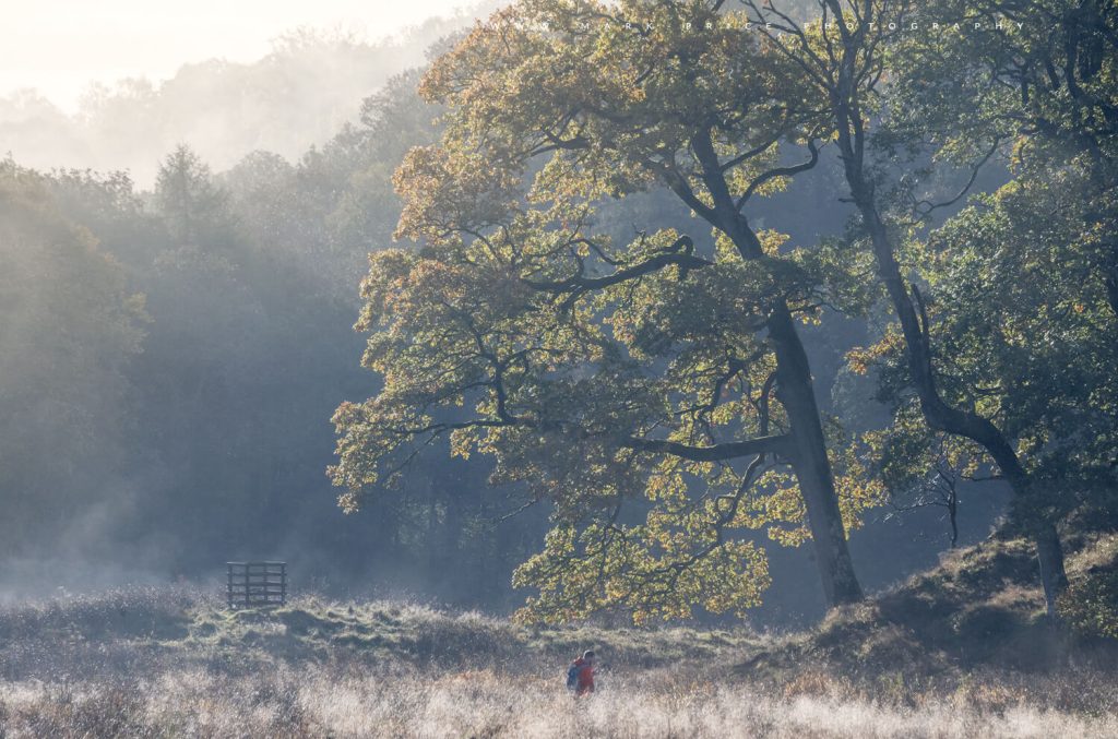 Exceptional autumn light in the Lake District Parks ... Autumn 2026