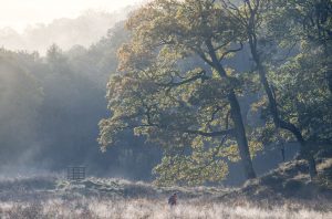 Exceptional autumn light in the Lake District Parks ... Autumn 2026